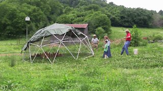 Moving the Geodesic Chicken Coop