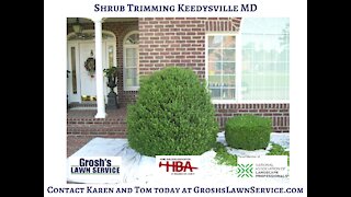 Shrub Trimming Keedysville MD Landscaping Contractor