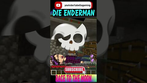 Race To The Moon - Die Enderman | Minecraft