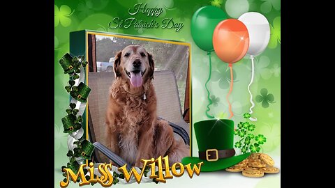 Woods & Wags: Graphics for Furry Friends - St Patrick's Day