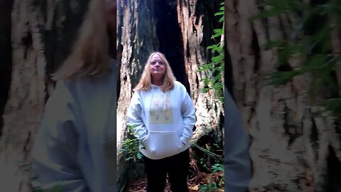 MASSIVE TREE - PRETTY GIRL at the Sequoia Park in Eureka California Part of Jeep Cherokee Adventure