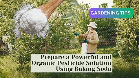 Prepare a Powerful and Organic Pesticide Solution Using Baking Soda