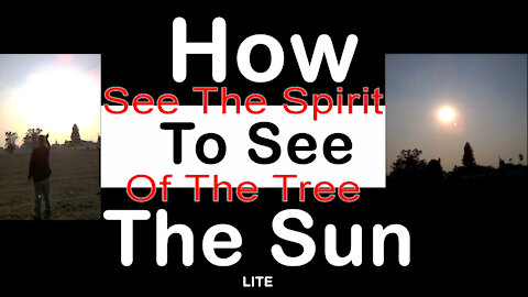 How To See The Sun - Ecclesiastes 7:11 - See The Spirit Of The Tree