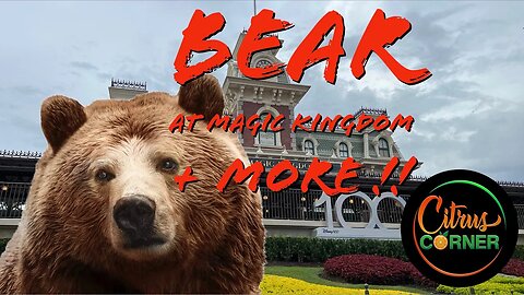 Bear At The Magic Kingdom, EPCOT Walt Statue + MORE!! | Citrus Corner