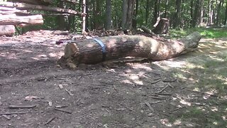 99 Pulling part of the bigger log