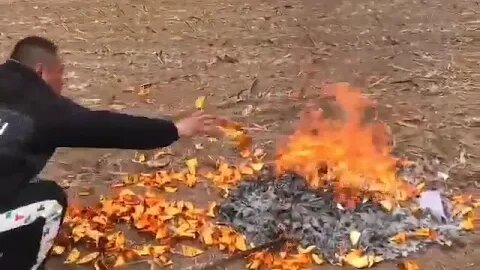 Master Zhou | Qingming Festival Grave Cleaning and Offerings