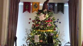 Fãs de Harry Potter vão amar esta árvore de natal!