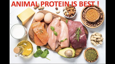 Animal protein is superior - you need it!