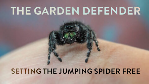 The Garden Defender