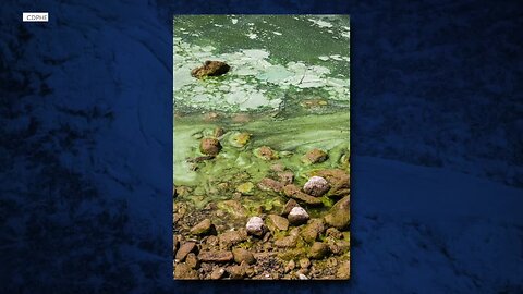 Toxic algae is closing some Colorado bodies of water. Is this normal?