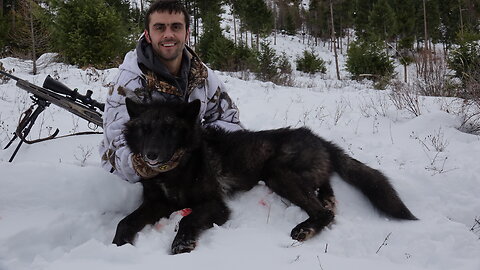 Public Land Wolf Hunting 12