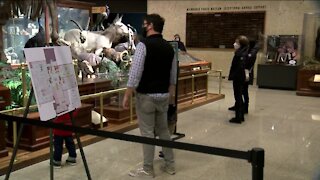Visitors return to Milwaukee Public Museum after reopening to the public