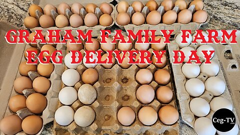 Graham Family Farm: Egg Delivery Day