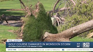 Golf course loses hundreds of trees in monsoon storm