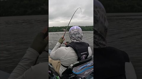 This Bait Catches EVERYTHING!