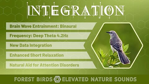 INTEGRATION Forest Birds Binaural 4.2Hz Super-Learning Relaxation