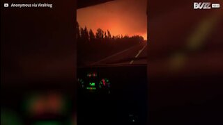 Alaska: quand les feux de forêt rappellent l'Enfer