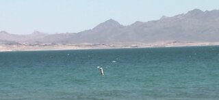 New recreation trail near Nevada-Arizona state line