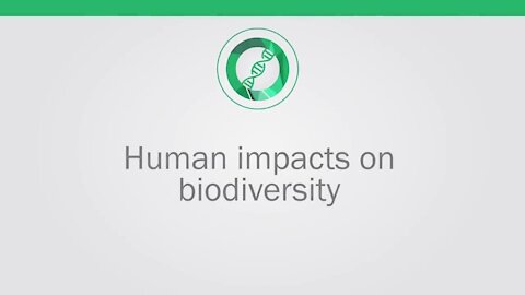 Human impacts on Biodiversity | Ecology and Environment | Biology