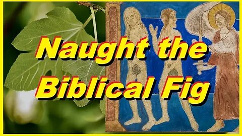 Not the Biblical Fig