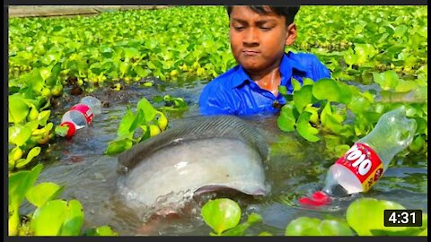 Amazing Fishing Video | Hook Fishing By Plastic Bottle Fish Trap | Simple Fishing Technique