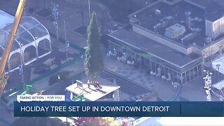 Detroit’s annual Christmas tree arrives at Campus Martius