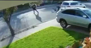 Man BODY SLAMS Thief Who Tried to Rob Him at Gunpoint