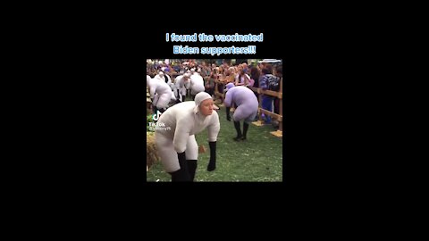 Biden’s sheeple