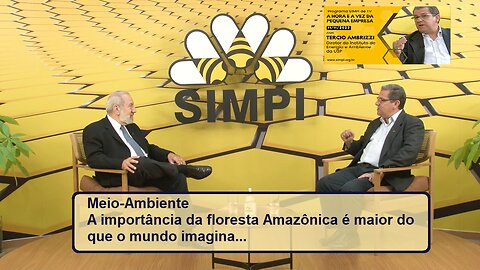 A floresta amazônica é mais importante do que o mundo imagina!