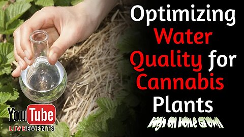Cannabis Podcast Episode 154🌿 Cannabis News 🌍 Optimizing Water Quality for Cannabis Plants🌱