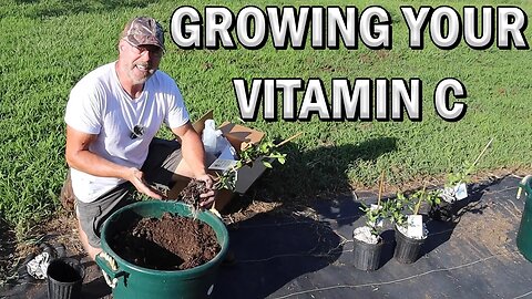 Growing your own vitamin c