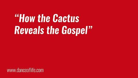 How the Cactus Reveals the Gospel