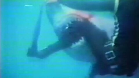 This Great White RIPPED OFF Henri Bource's Leg In Front of His Crew