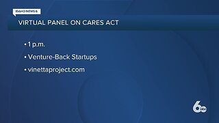 Cares ACT panel