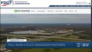 Florida’s senate president downplays concerns that toll roads would 'jeopardize’ panthers