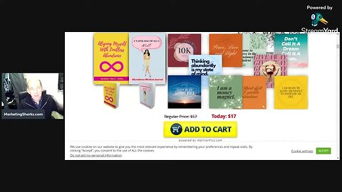 PLR Abundance Mindset Printable Bundle – Printable Bundle Templates PLR