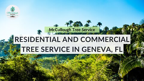 McCullough Tree Service Works in Rural Areas - Geneva, FL