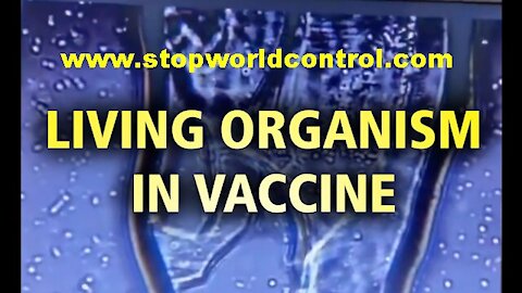 LIVING 'ORGANISM' inside Pfizer vaccine - Watch and share! [06.10.2021]