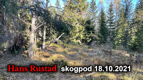 Skogpod 18. oktober: Uro