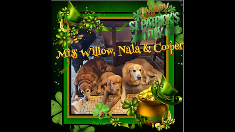 Golden Retrievers: Hearts of Gold - St. Patrick's Day