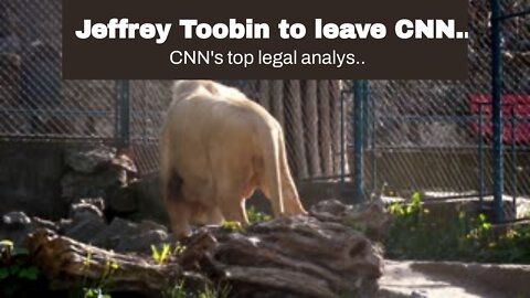 Jeffrey Toobin to leave CNN after surviving masturbation scandal
