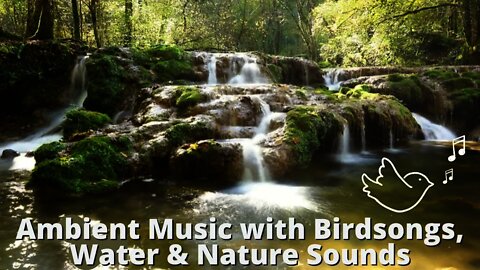 Gentle Stream Flowing Over Rocks | Nature | No Ads | Soothing | Ambient Music | Birdsong | Flute