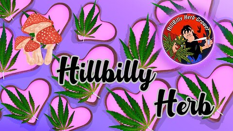Hillbilly Herb
