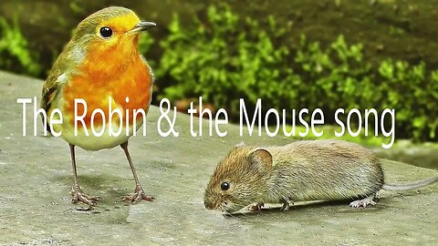 the Robin & the Mouse song - David B. Smith