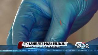 9th annual Sahuarita Pecan Festival a success