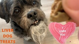 Crazy Easy Liver Dog Treats