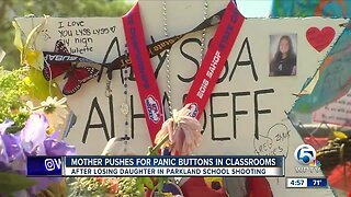 Mother pushes for panic buttons in classrooms