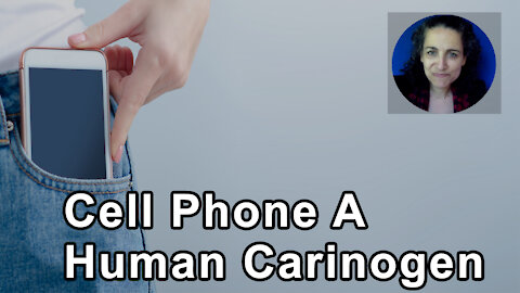 Cell Phone Wireless Radiofrequency Radiation Is A Human Carcinogen - Theodora Scarato