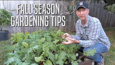 Fall Season Gardening Tips