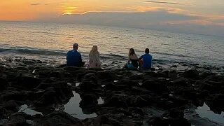 Blowing Rock Beach & Hobe Sound - Surprise Baby Sea Turtle!!